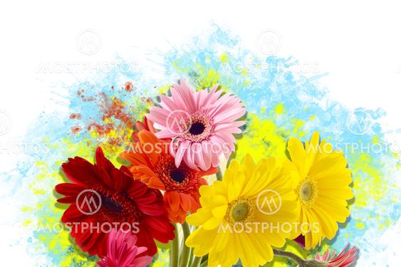 Flowers Art