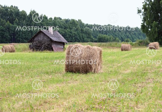 Hay rolls