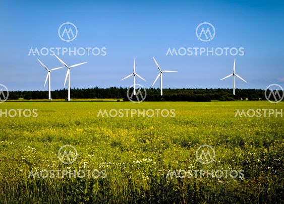 wind power