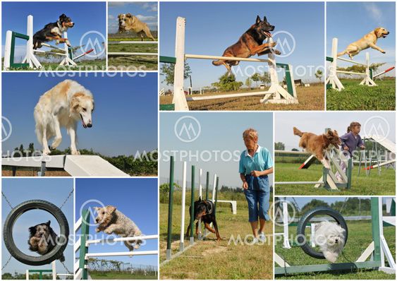 Agility