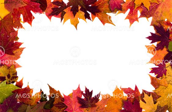 Autumn leaves border on white background