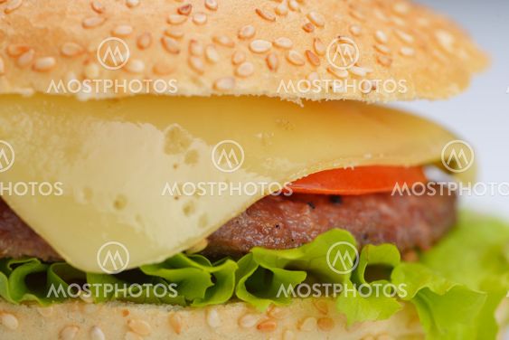 hamburger