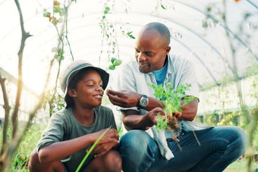 Greenhouse, father and son with vegetables, plants and...