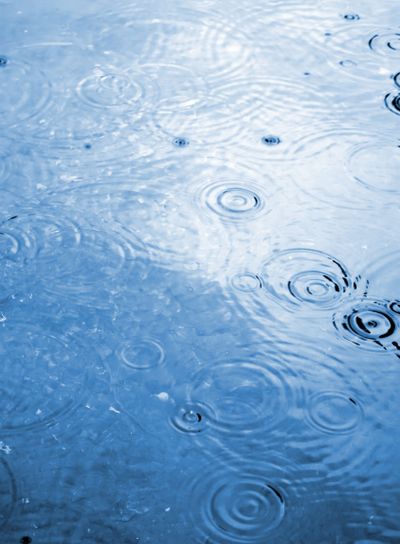 Raindrop Water Ripples