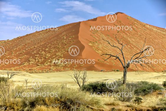 vast dune at Sossusvlei namib naukluft park namibia