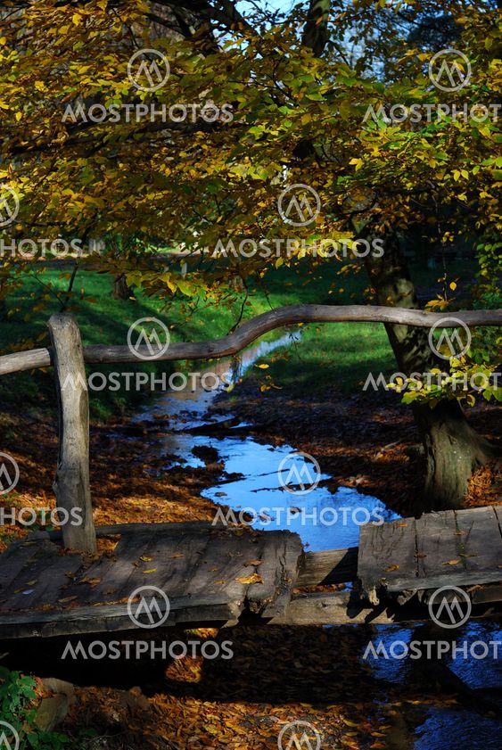 Wooden bridge and stream