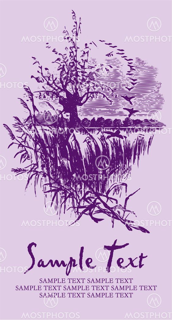 antique card engraving (vector)