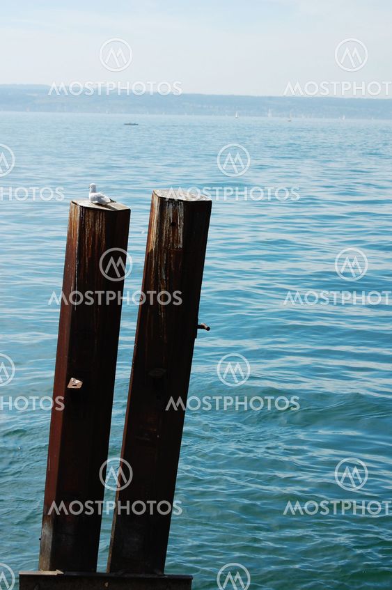 Piles in water