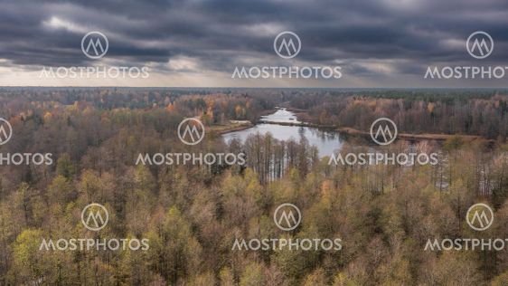 Polish part of Bialowieza Forest to south