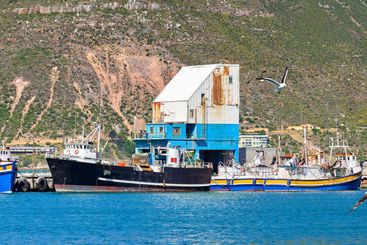 Harbor, fishing or boats by dock in ocean for travel...