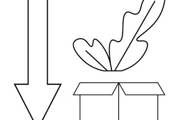 Downward Arrow, Feather, and Box in Minimalist Line Art...