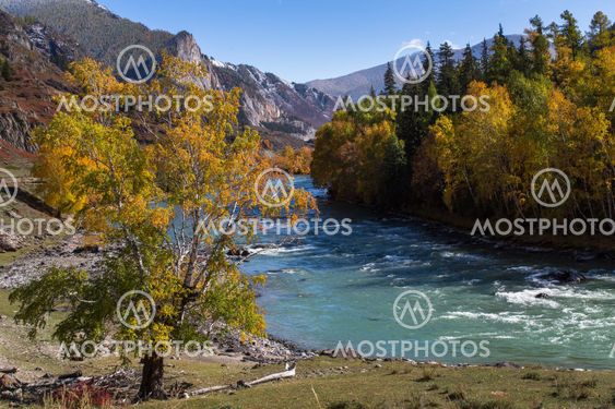 View of Katun River, Altai Republic, Russia.