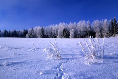 Beautiful winter landscape