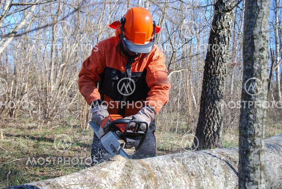 Lumberjack with chainsaw