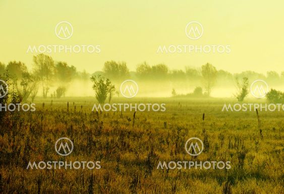 Efteråret tåge i floodplain af floden.