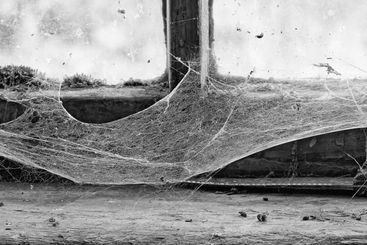 Vintage, window or frame with cob webs for abandoned...