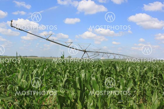 irrigation system for agriculture