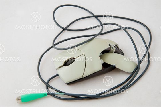 Mouse
