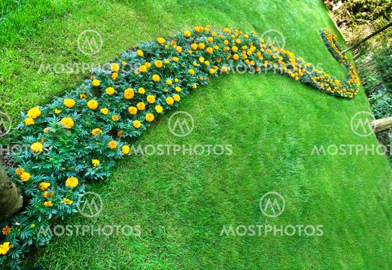 Pretty Manicured Flower Garden With Marygolds
