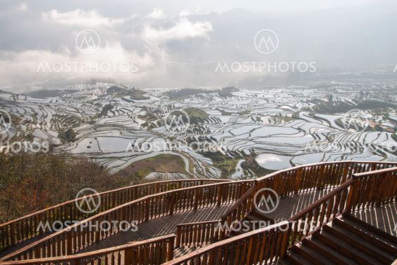 Wooden terrace