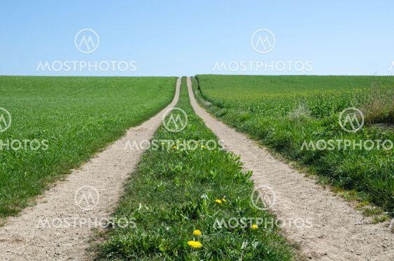 Rural Road