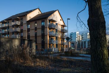 Residential area in Scandinavia, Old tree trunk, wooden 