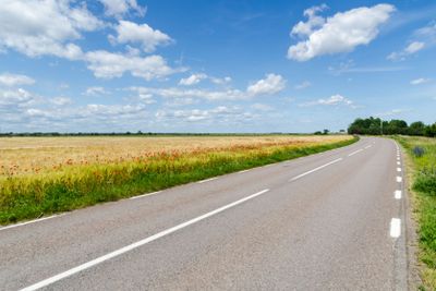 Sommar vid vägen på sydöstra Öland