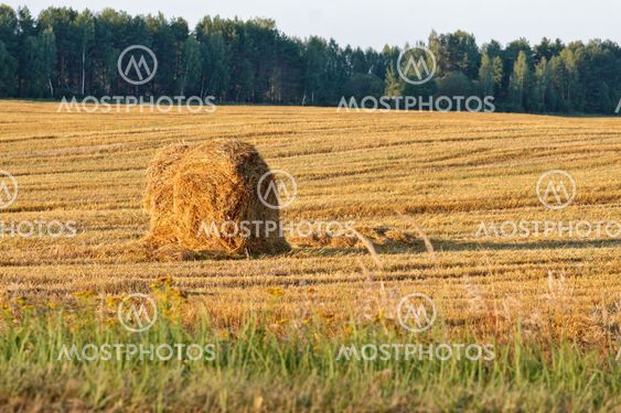 Haystack in Russian countryside