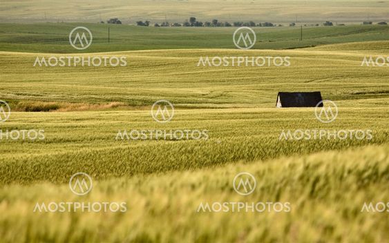 Landdistrikterne Saskatchewan