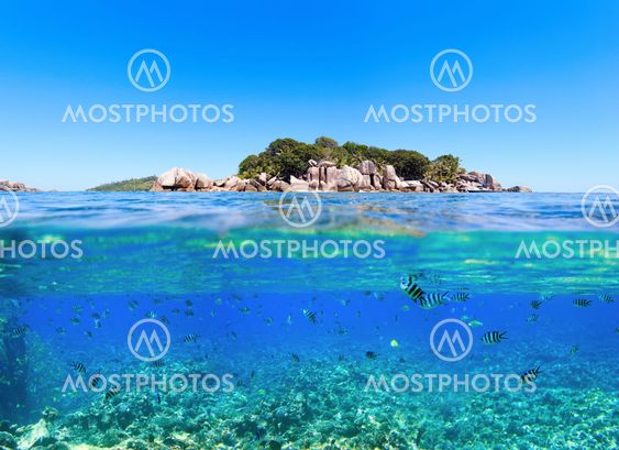 Under and above water