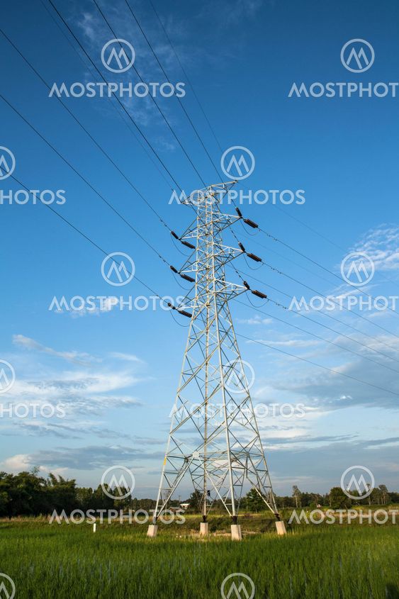 High voltage pylon in paddy