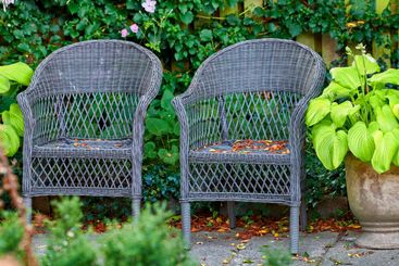 Plants, pot and garden with chairs outdoor of...