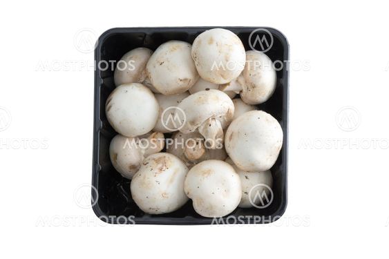Container of farm fresh button mushrooms