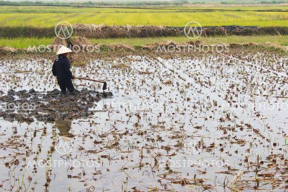 woman farmer working in the field with hoe
