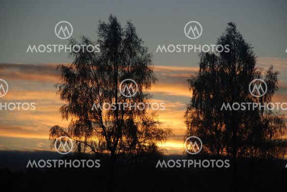 Soluppgång i novembermörker Nr 2 (Sweden)