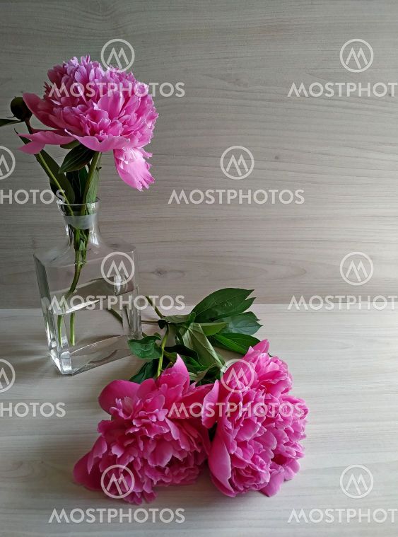 Two peonies on a light wood table and one peony standing...