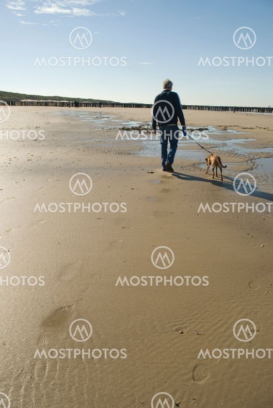 walking the dog