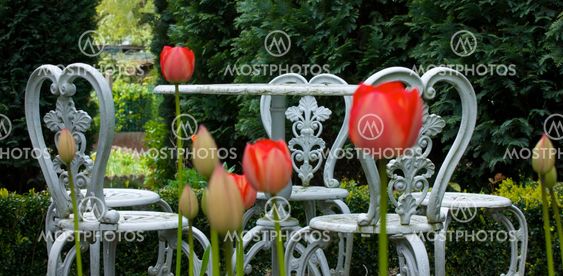 Table and Tulips