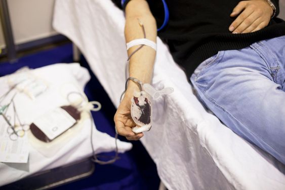 Blood donor