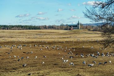Vy mot Bjurums kyrka