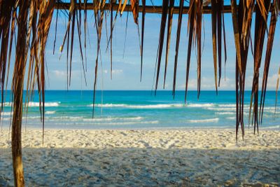 Tropical Beach in Cuba