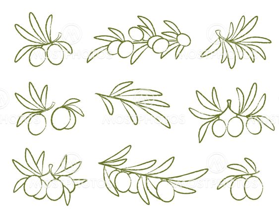 olive icons set