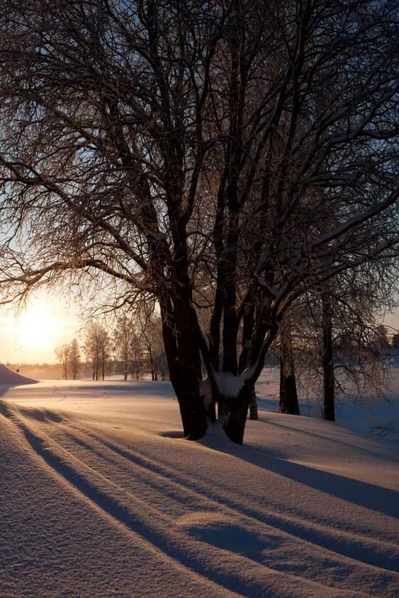 vinter och kallt