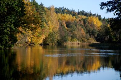 Höstfärger vid ån