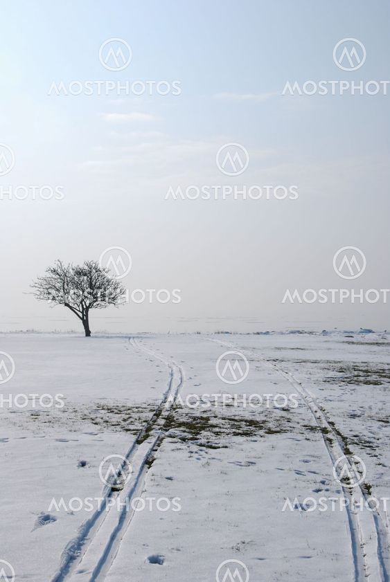 Melting ski tracks in a misty landscape