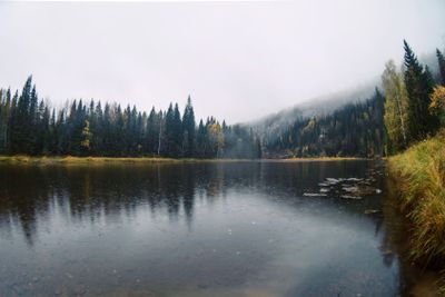 Autumn landscape: the river in fog among the wild forest...