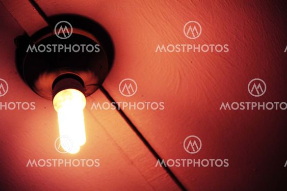 the bulb