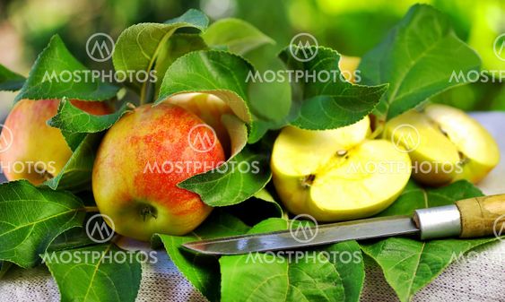 ripe red apples on table, slices and knife