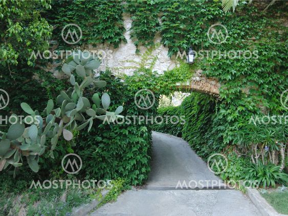 Pretty garden path with verdurous arch