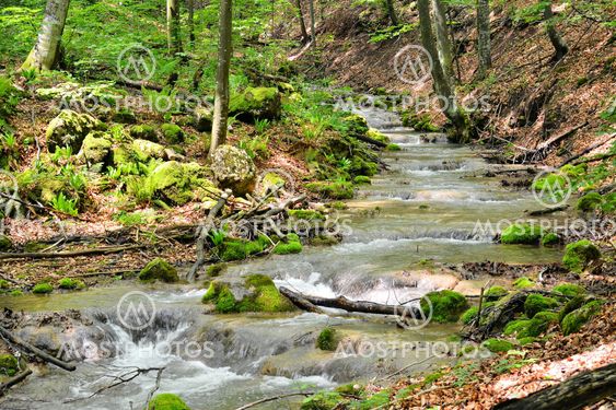 creek